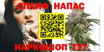 ешки Новодвинск