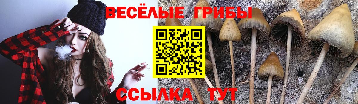 Псилоцибиновые грибы Psilocybine cubensis  Вход с VPN  Сургут 